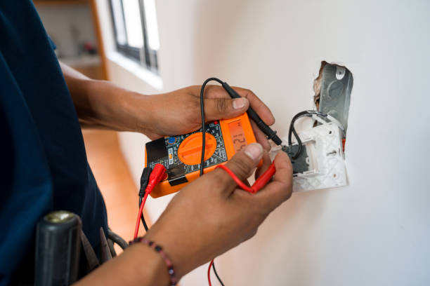 Best Electric Panel Repair  in Wesley Chapel, NC